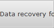 Data recovery for Layton data