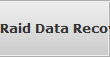 Raid Data Recovery Layton raid array